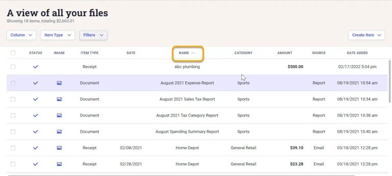 Neat online expense dashboard